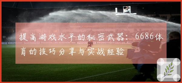 提高游戏水平的秘密武器：6686体育的技巧分享与实战经验