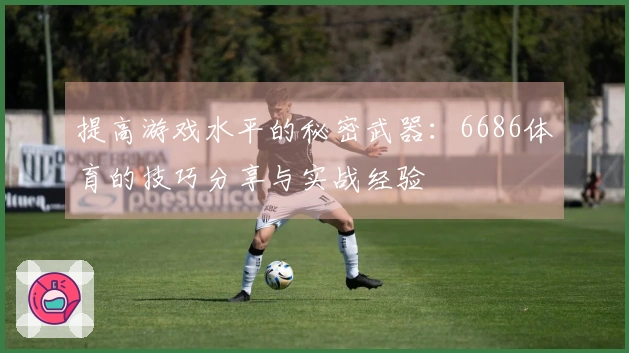 提高游戏水平的秘密武器：6686体育的技巧分享与实战经验